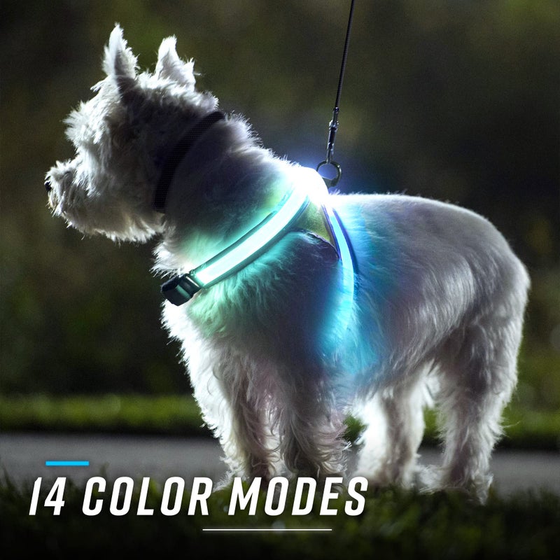 Noxgear LightHound â€“ Revolutionary Illuminated and Reflective Harness for Dogs Including Multicolored LED Fiber Optics (USB Rechargeable, Adjustable, Lightweight, Rainproof) (Small) - Image 4